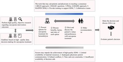 Shared decision making in sarcopenia treatment